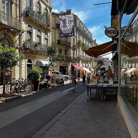 Appartement Hypercentre Montpellier